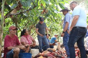 Fortalecen producción de cacao en Apure con entrega de insumos