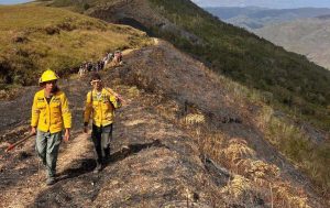 Freddy Ñáñez reporta control de incendios forestales en la región central