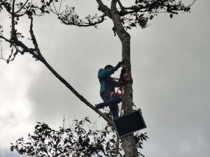 Gestión comunal lleva electricidad por primera vez a pueblo yaracuyano