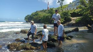Hallan en Caruao cuatro macroalgas alimenticias