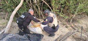 Incautan 163 panelas de marihuana en el Orinoco