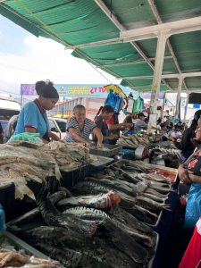 Más de 1.300 toneladas de pescado venderán durante la Semana Santa en el mayor de Coche