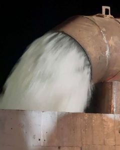 Micec habilita web para realizar denuncias relativas al ambiente