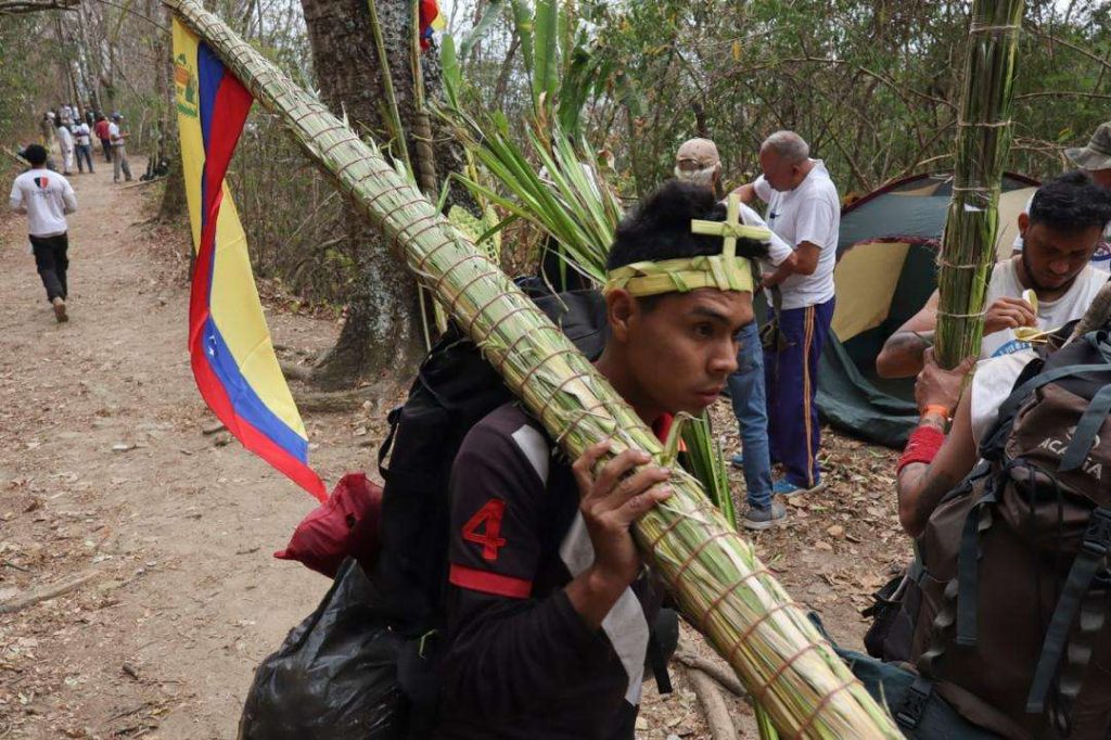 Palmeros de Chacao bajaron la Palma Real del Waraira Repano