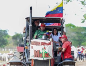 Presidenta (E) plantea que procesos productivos comunales sean industrializados