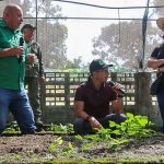 Proyectos populares del 2026 en Táchira deben ser ecológicos