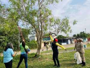 Recolectan más de 20 mil semillas en jornada nacional