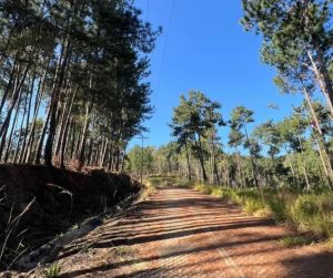 Restablecen rutas de acceso al Parque Cerro El Café