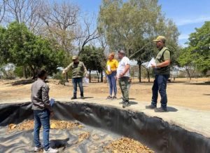 Semillas del Parque Agustín Codazzi darán vida al Henri Pittier