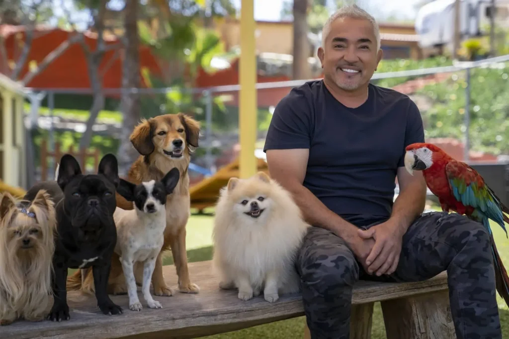 Expo Mascotas 2026 traerá a César Millán a Caracas con su show familiar en vivo