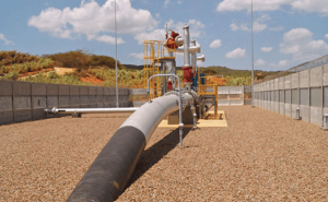 Autoridades de Colombia y Venezuela acordaron reparar un tramo dañado de un gasoducto binacional Antonio Ricaurte