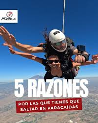 Joao Rafael Silva Robertson