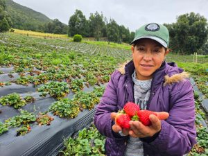 liderazgo que transforma los sistemas agroalimentarios en Bogotá-Cundinamarca