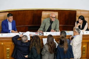 AN aprobó 115 artículos de la Ley Orgánica de Minas