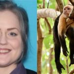 El perturbador caso de Amanda, la mujer que pagaba por videos de extrema crueldad contra animales