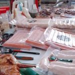 Aragua produce 100 t anuales de carne de conejo