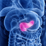 Academia de Ciencias de EEUU retira artículo ‘prometedor’ de estudio sobre cáncer de páncreas