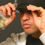 Carlos Alcaraz se perderá Roland Garros por su lesión en la muñeca