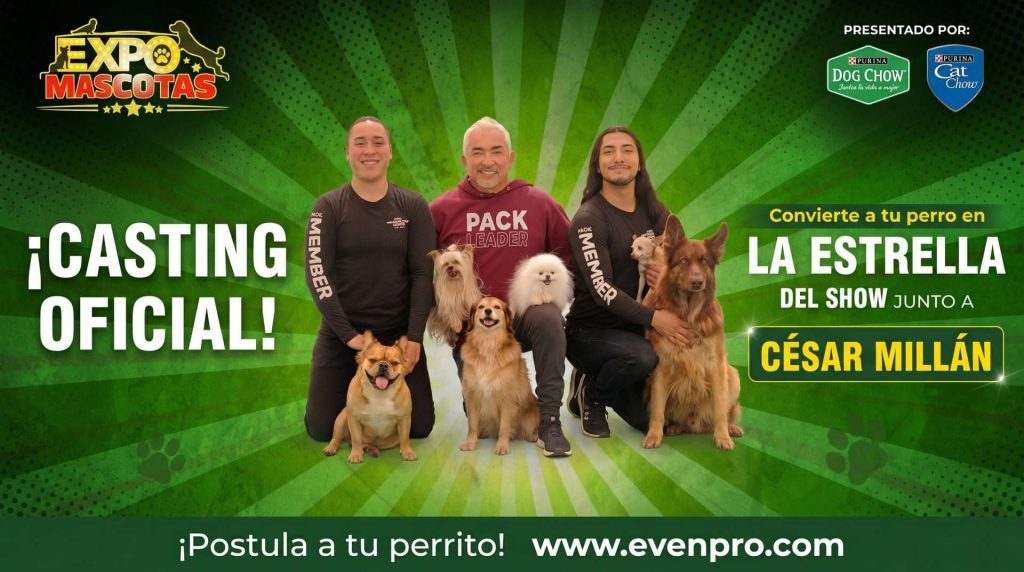 César Millán abre casting oficial para su show en ExpoMascotas