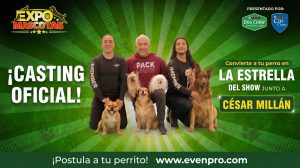 César Millán abre casting oficial para su show en ExpoMascotas