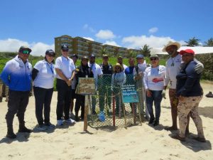 Inspeccionan viveros de tortugas marinas en playas de Nueva Esparta