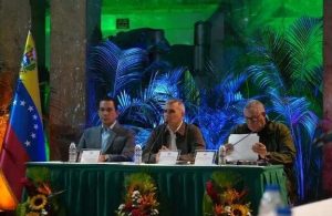 Padrino López: me coloco en defensa de la producción nacional