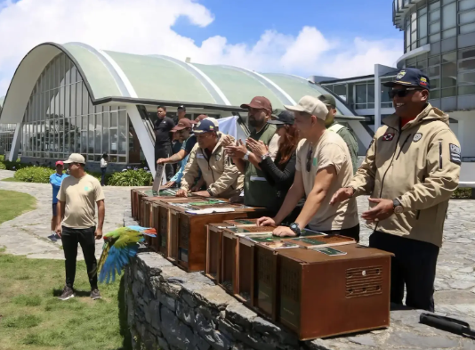Liberan 12 aves en el Waraira Repano durante jornada ambiental por el "Mes de la Tierra"