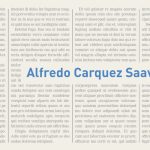 Se busca Papa a la medida