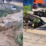 Quedó atrapado en su carro en plena crecida de un río en Táchira, se salvó de milagro y todo quedó grabado