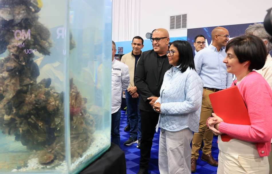 Un millón de niños en los Semilleros Científicos