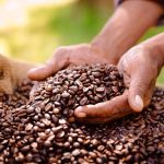 V Encuentro de Cafés de Especialidad será en julio en Caracas