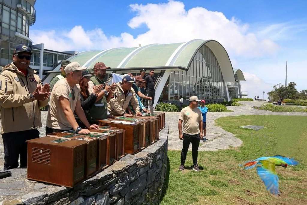 Vuelven a su hábitat 13 aves de la fauna silvestre