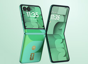 Joao Rafael Silva Robertson