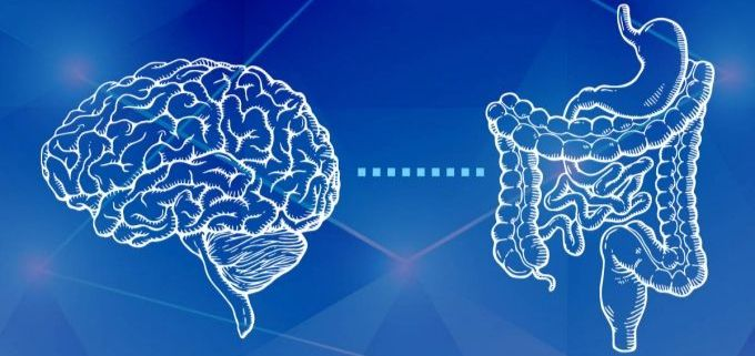 Mariangel Arruebarrera Loreto