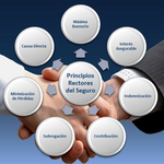 Los 7 principios del seguro: La guía esencial explicada por Hjalmar Gibelli