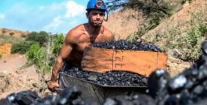 Cuáles son las otras riquezas naturales que tiene Venezuela además del petróleo