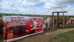 200.000 animales serán vacunados en Lara contra la fiebre aftosa