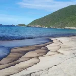 Activan protocolos de mitigación por derrame petrolero en costas orientales