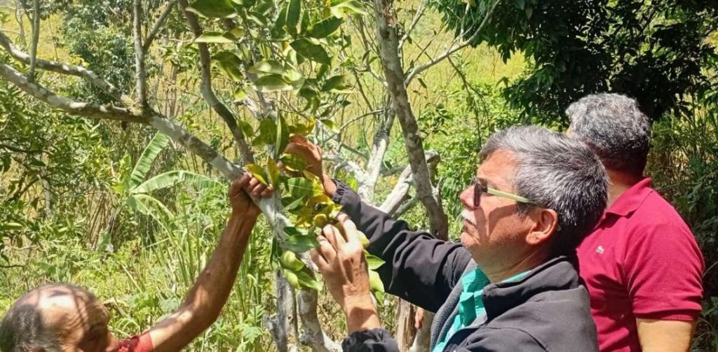 Brindan acompañamiento técnico a productores de El Hatillo