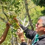 Brindan acompañamiento técnico a productores de El Hatillo