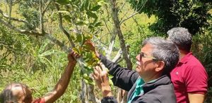 Brindan acompañamiento técnico a productores de El Hatillo
