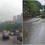 Árboles caídos y zonas sin luz