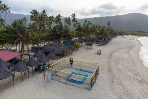 Ecosocialismo protege nido de tortuga marina tras 9 años de ausencia en Carabobo