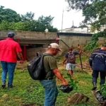 Estiman plantar 400.000 árboles con el plan «Sucre siembra vida»