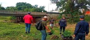 Estiman plantar 400.000 árboles con el plan "Sucre siembra vida"