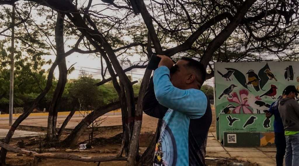 Falcón unido al Global Big Day 2026 por la conservación de las aves