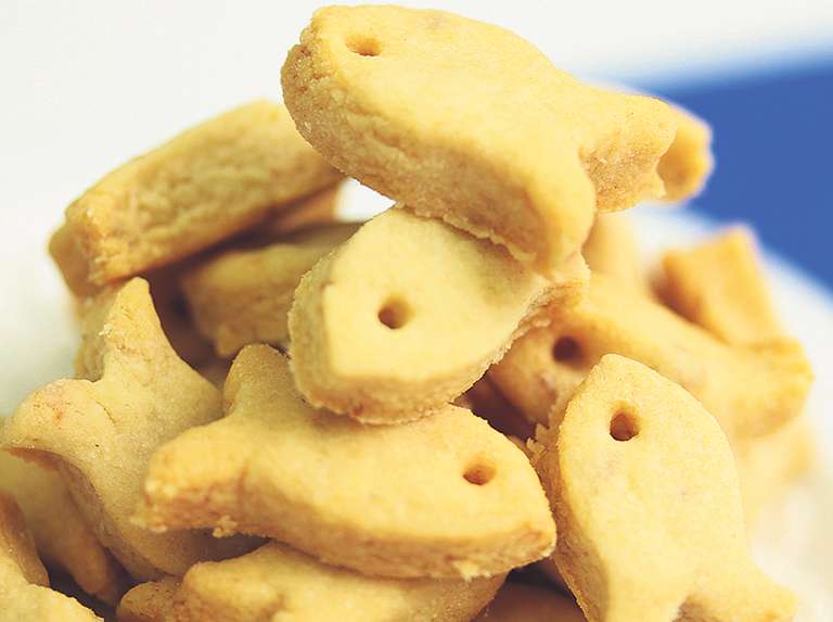 Galletas de anchoas - Últimas Noticias