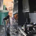 Gatico salvó a una familia de un fuerte incendio en su apartamento pero no sobrevivió