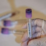 Identificaron al paciente cero del brote de hantavirus en crucero