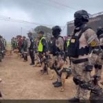 Incorporan a 116 perros entrenados para la detección de drogas
